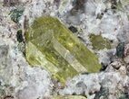Apatite Crystal In Matrix - Durango, Mexico #43383-1